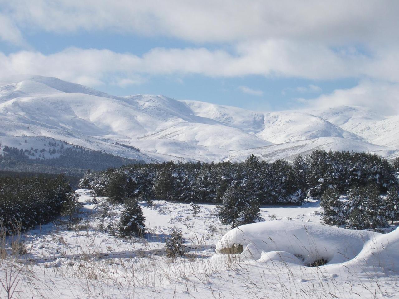 Tinao De Gredos * Barajas de Gredos